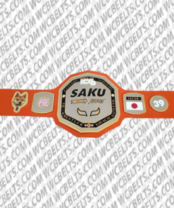 professional wrestling championship belts