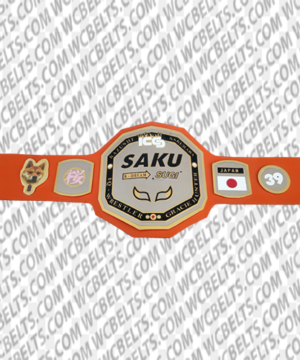 professional wrestling championship belts