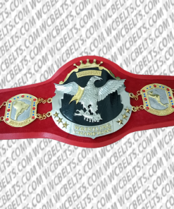 nwa americas heavyweight championship