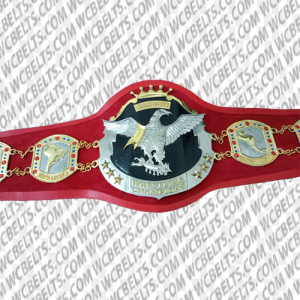 nwa americas heavyweight championship