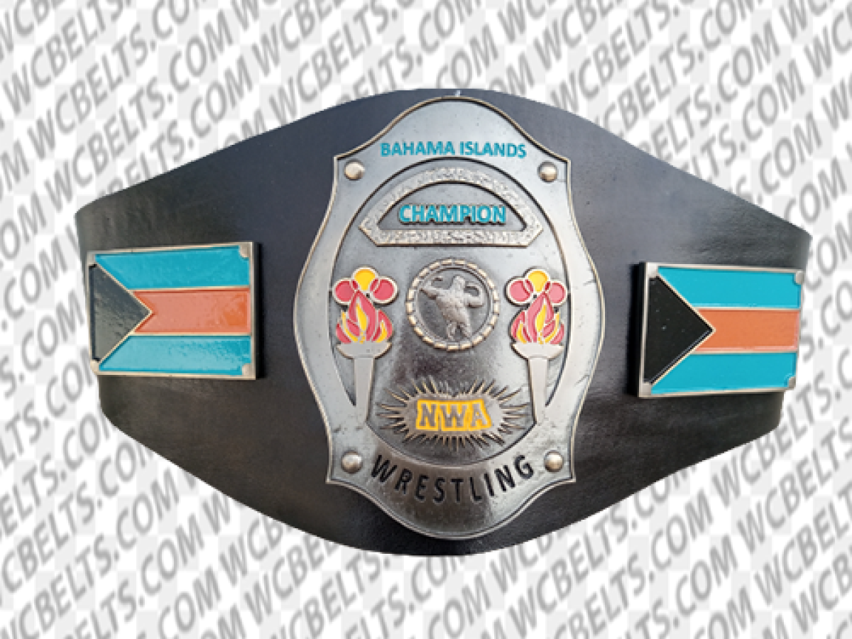 Miami Dolphins Custom Title Belt