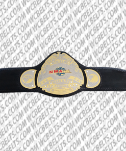 nwa heritage championship Belt