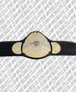 nwa heritage championship Belt