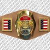 television champion belt united states