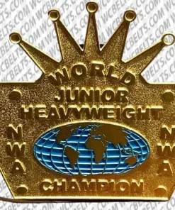 nwa world junior heavyweight championship