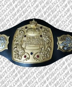 nwa american tag team championship