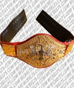 texas state wrestling championship belt