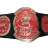 nwa southern tag team championship