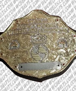 big gold world heavyweight championship