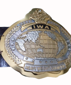 iwa mid south heavyweight championship