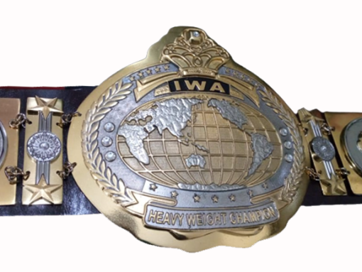 iwa mid south heavyweight championship