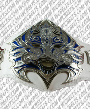 jeff hardy enigma tna belt