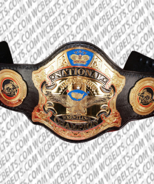 d3 wrestling national champions