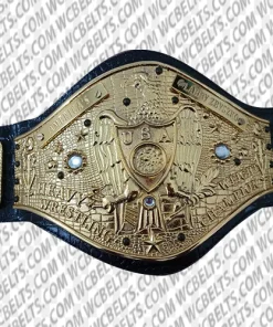 the nwa world heavyweight championship