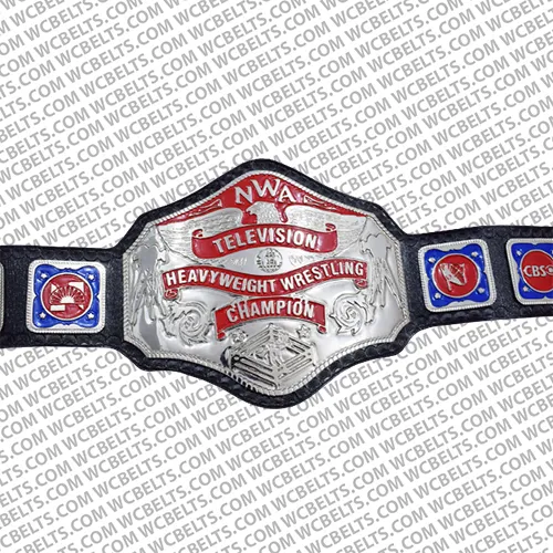 Authentic WCW Television Championship Replica Belt | High-Quality ...
