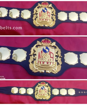 NWA United States Championship Wrestling Belt
