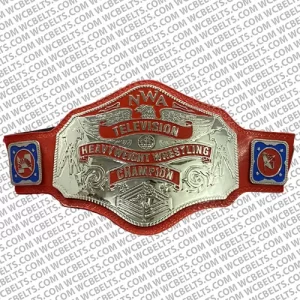 nwa television heavyweight champion