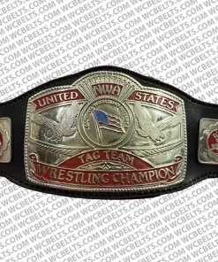 nwa us tag team belts