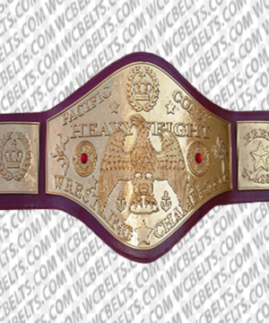 nwa world title belt for sale