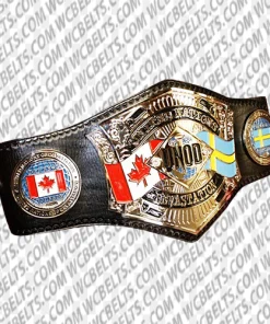 x division championship belt