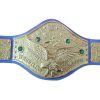 bruno sammartino championship belt