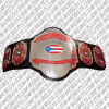 world wrestling council puerto rico
