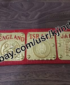 WWWF Heavyweight Cast 70's & Early 80's Wrestling Champion Belt Bruno Sammartino Side