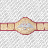 wwf world wrestling federation championship belt