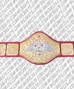 wwf world wrestling federation championship belt