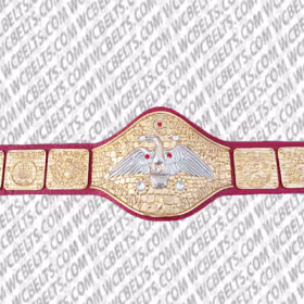 wwf world wrestling federation championship belt