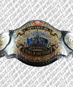 world wrestling championship belt