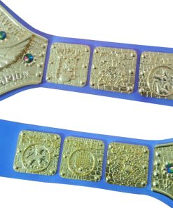 WWWF Bruno Sammartino Heavyweight Wrestling Champion Belt Bob Backlund Champions