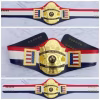 TNA World Heavyweight Champion Belt