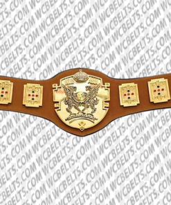 international tag team championship