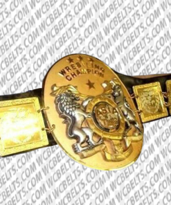 wwe tag team championship belt designs