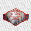 nwa red television championship title replica belt