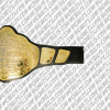 disney r selby bocce international champion belt