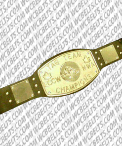 ecw tag team championship replica