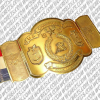 lightweight champion belt