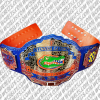 florida gators championship belt