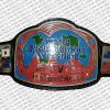 georgia bulldogs championship belt