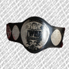 iwgp junior tag team titles wrestling champion belt
