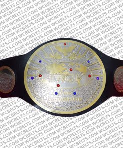 iwgp tag team championship replica