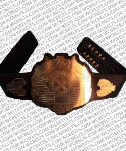 king of pancrase belt