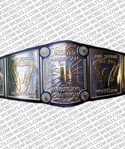 mid south heavyweight championship