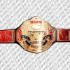 nawo heavyweight title wrestling champion belt