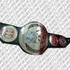 wwe new tag team championship belt