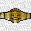 nwa six man tag team championship replica belt