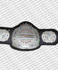 tna legends championship replica