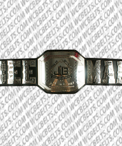 professional wrestling champion belts